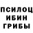 Галлюциногенные грибы Psilocybe antoniukk masha