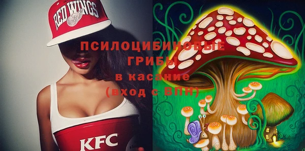 герыч Арсеньев
