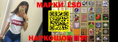 индика Камень-на-Оби