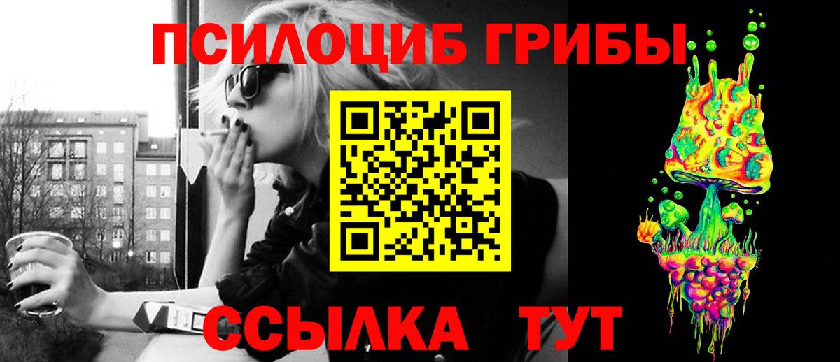 Псилоцибиновые грибы GOLDEN TEACHER Волхов
