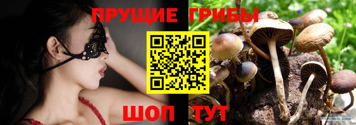 Псилоцибиновые грибы Psilocybine cubensis  Вход с VPN  Галлюциногенные грибы мухоморы  Волхов 