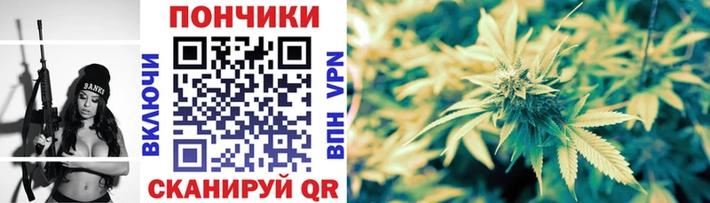 Бошки Шишки VHQ Волхов