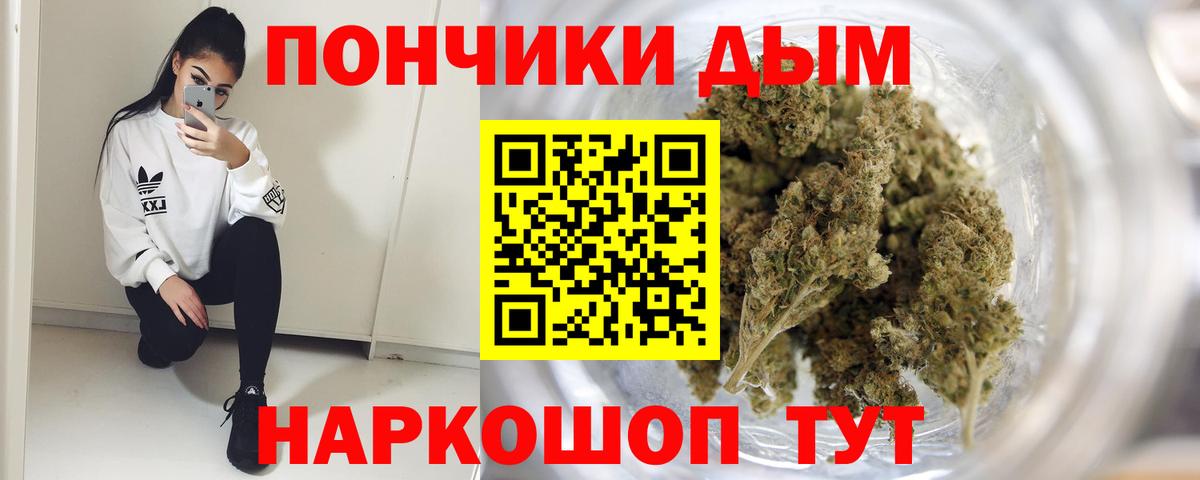 Канабис гибрид Волхов